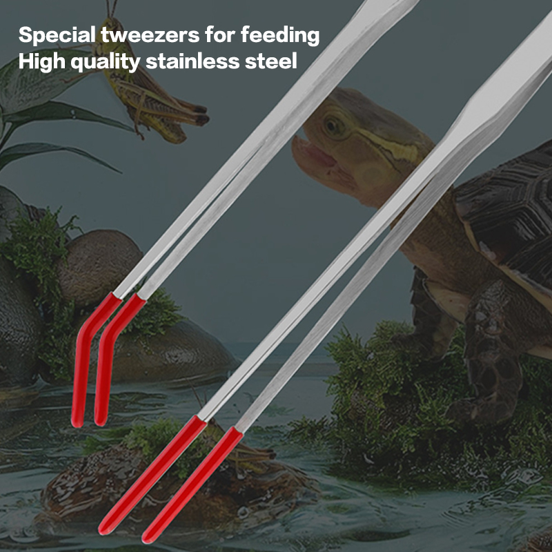 Outils d'aquarium experts: pin - Feeding Tong Stainless avis et prix
