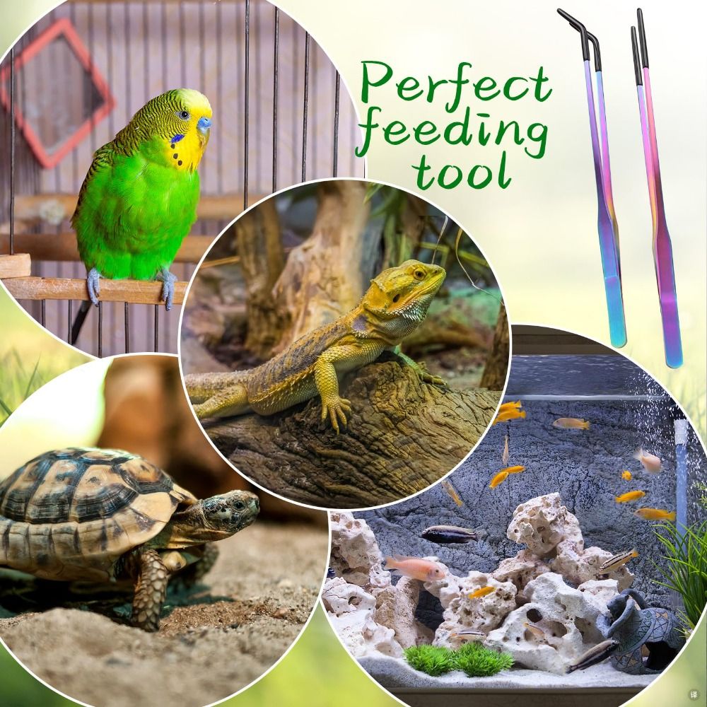 Pinces d'alimentation pour rep - Feeding Tong Stainless avis et prix
