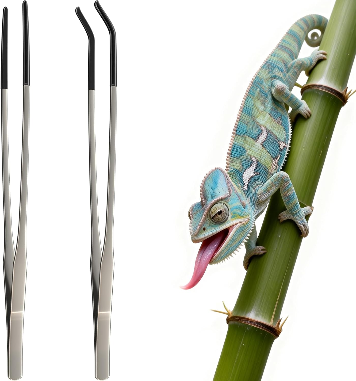 2 pinces d'alimentation extra  - Feeding Tong Stainless avis et prix